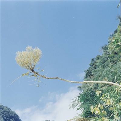 山口山战记九游手游下载