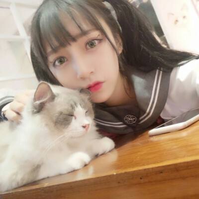 欢乐五美手机版下载